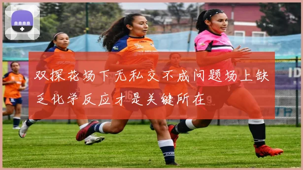 双探花场下无私交不成问题场上缺乏化学反应才是关键所在