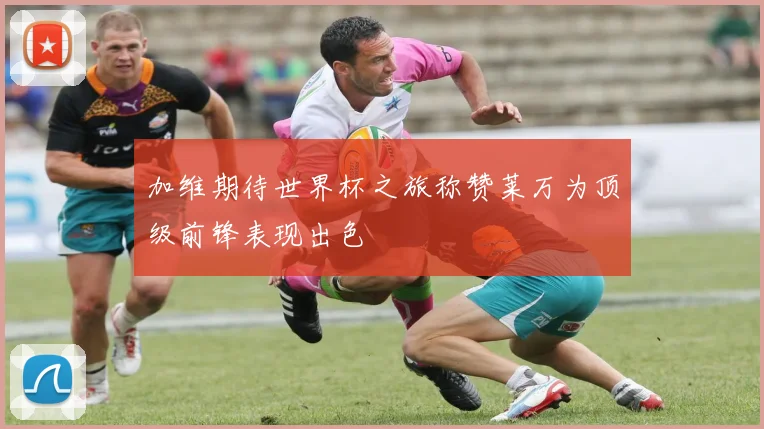 加维期待世界杯之旅称赞莱万为顶级前锋表现出色