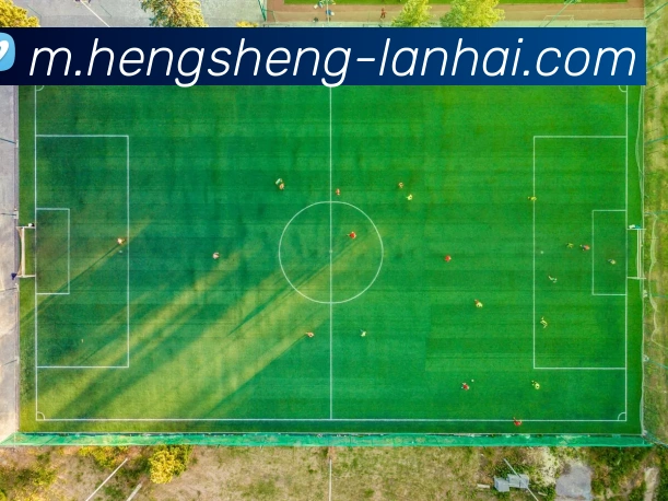 恒盛娱乐APP 封面图